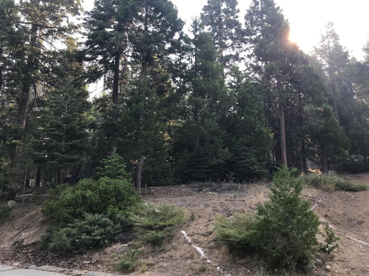 0 Timber Ridge Ln - Ph 2, Lot 23 - Photo 1
