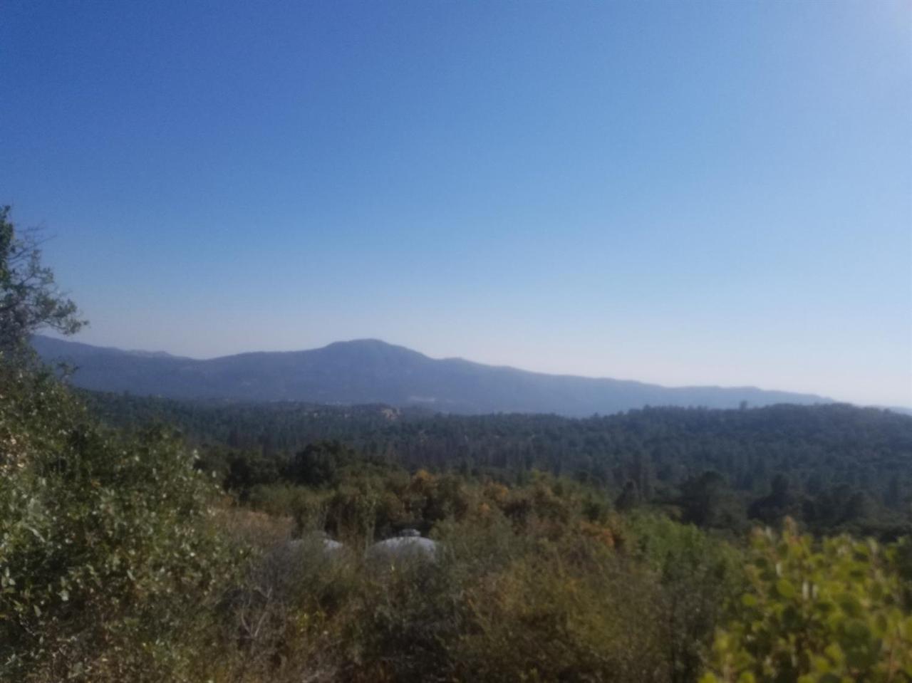 0-5.33AC Allen Road - Photo 1