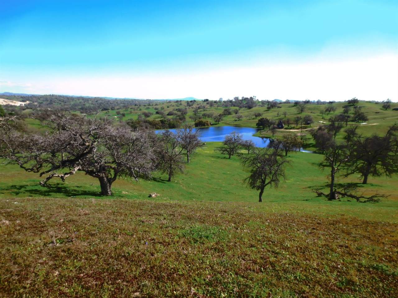 40999 Road 406 - Photo 1