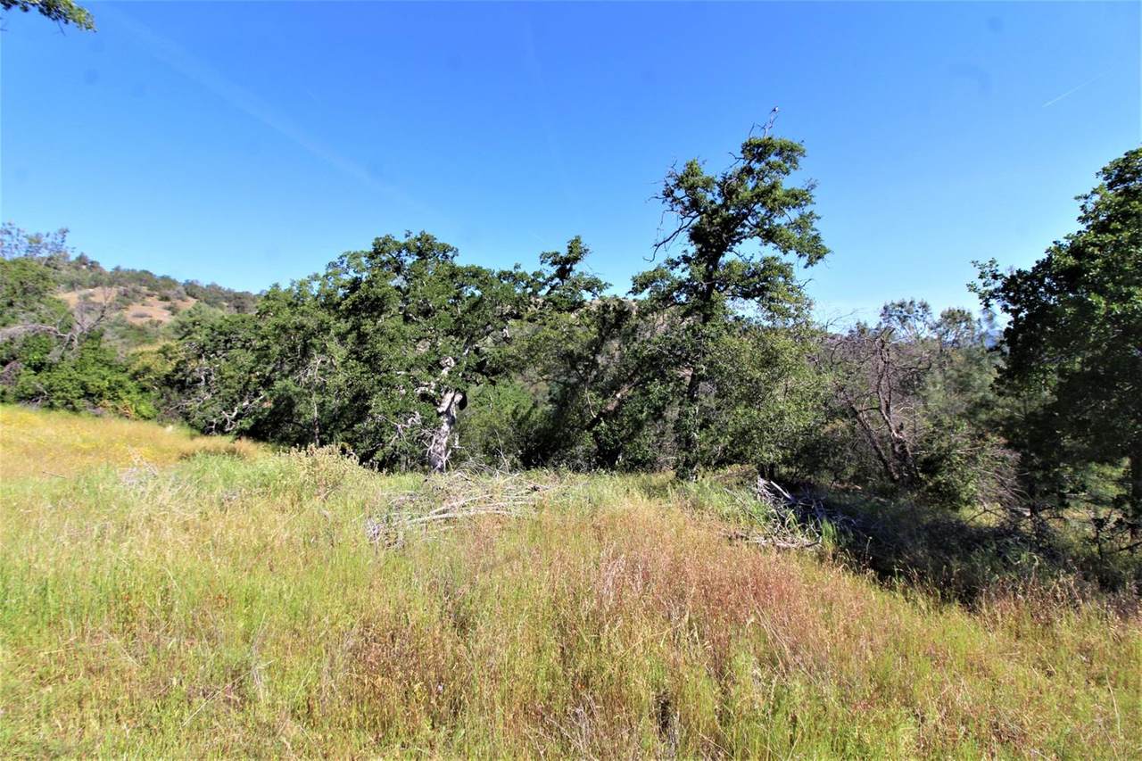 0 Tioga Drive - Photo 1