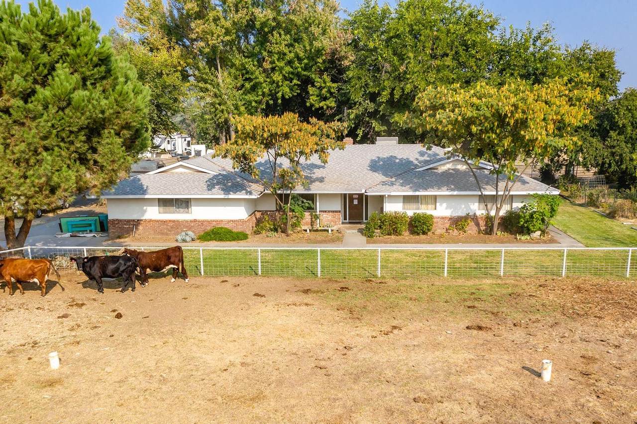 29539 Highway 145 - Photo 1