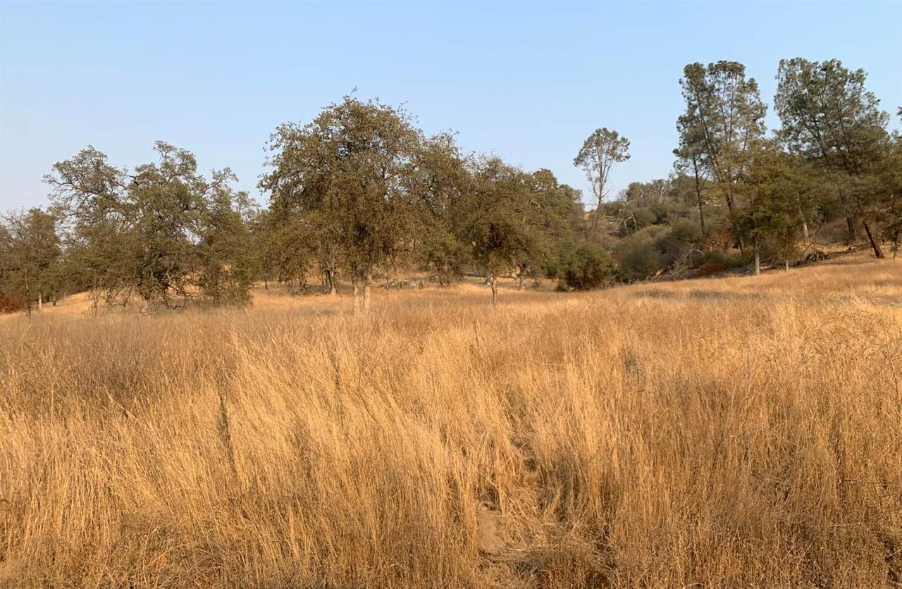 0 Whispering Springs Road - Photo 1