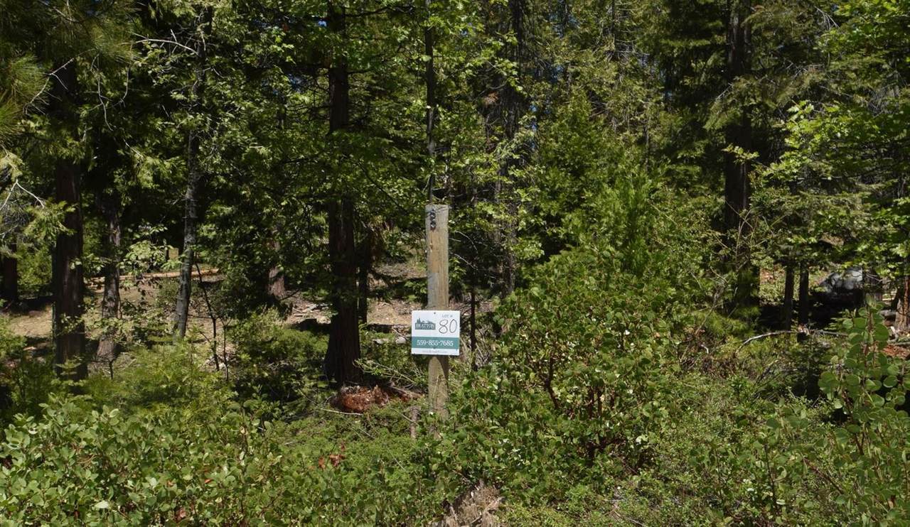 42137 Tourmaline Lane - Photo 1