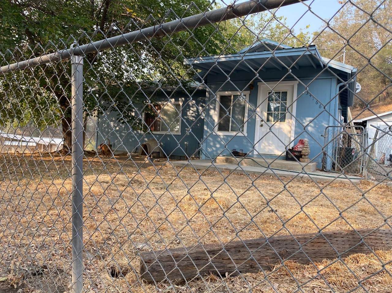 34766 Wilson Road - Photo 1