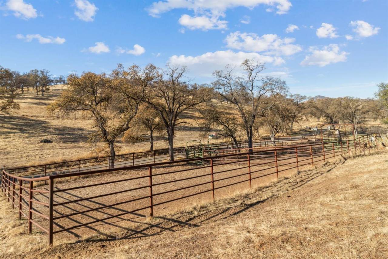 5524 Indian Gulch Road - Photo 1