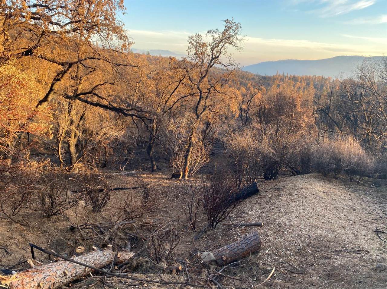 35035 Peterson Road - Photo 1
