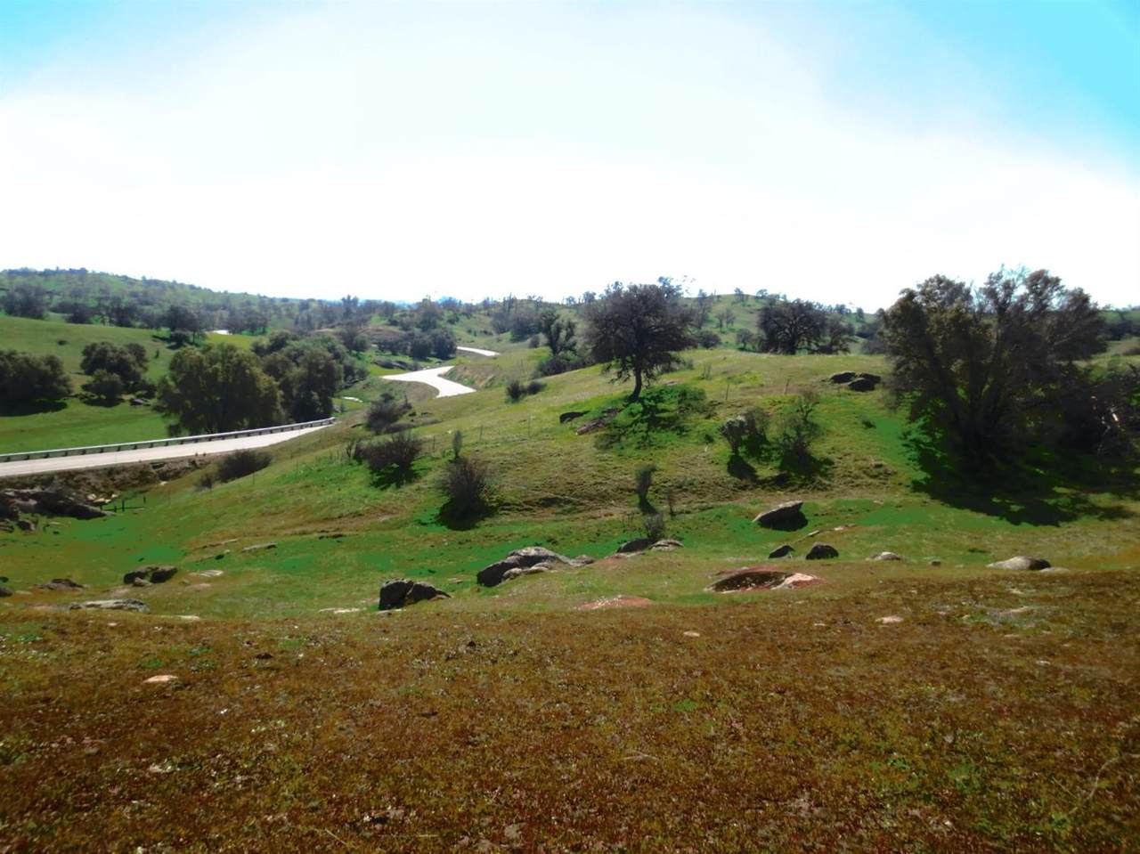 0 Road 209 - Photo 1