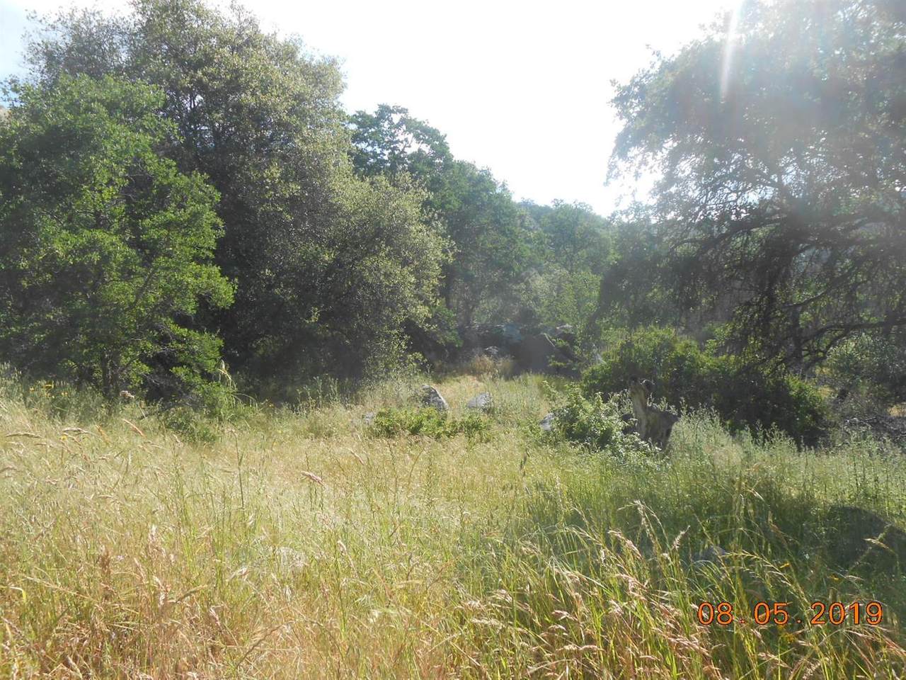 0 Redwing Lot 450 - Photo 1