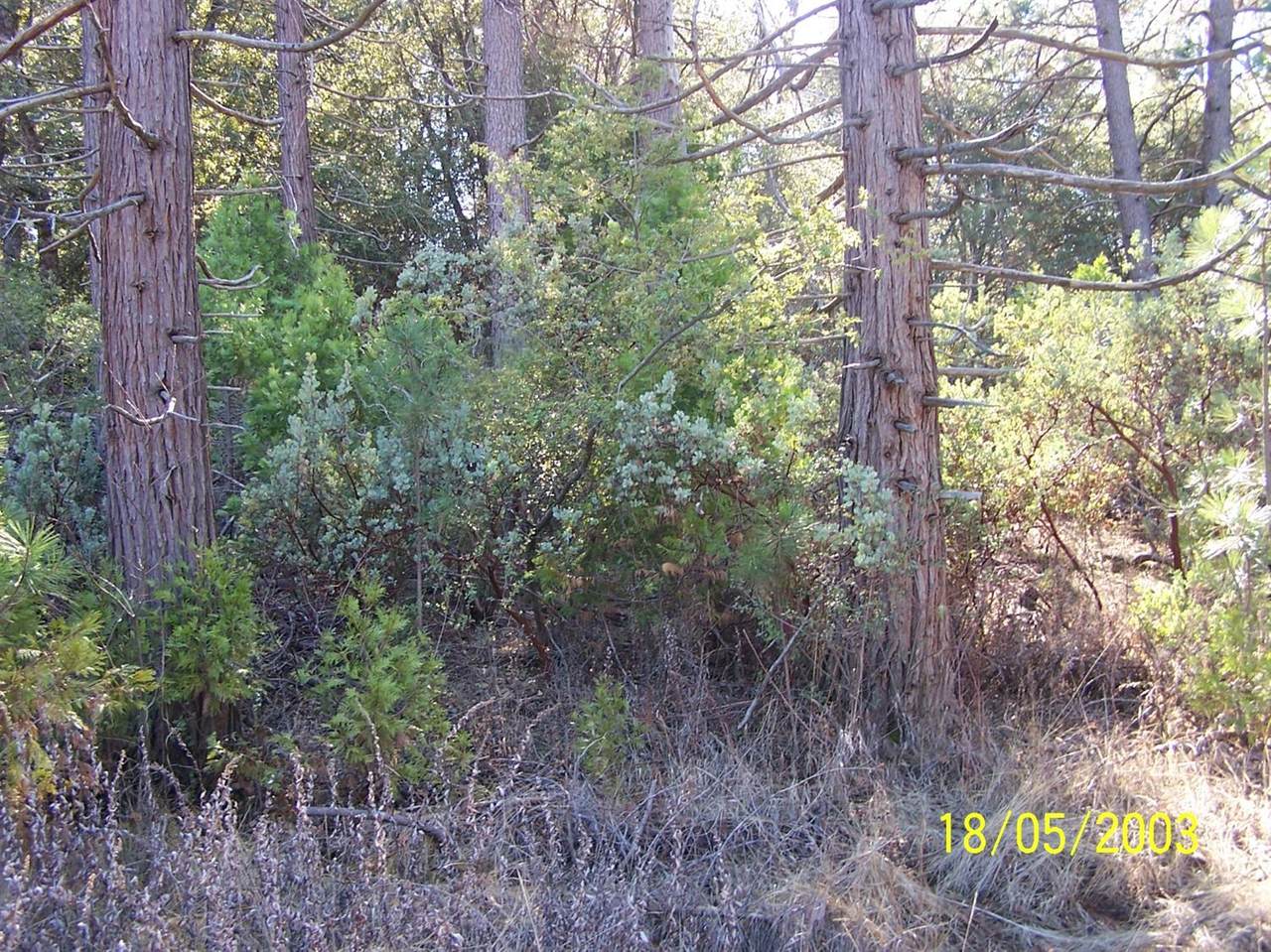 0 Old Yosemite Road - Photo 1