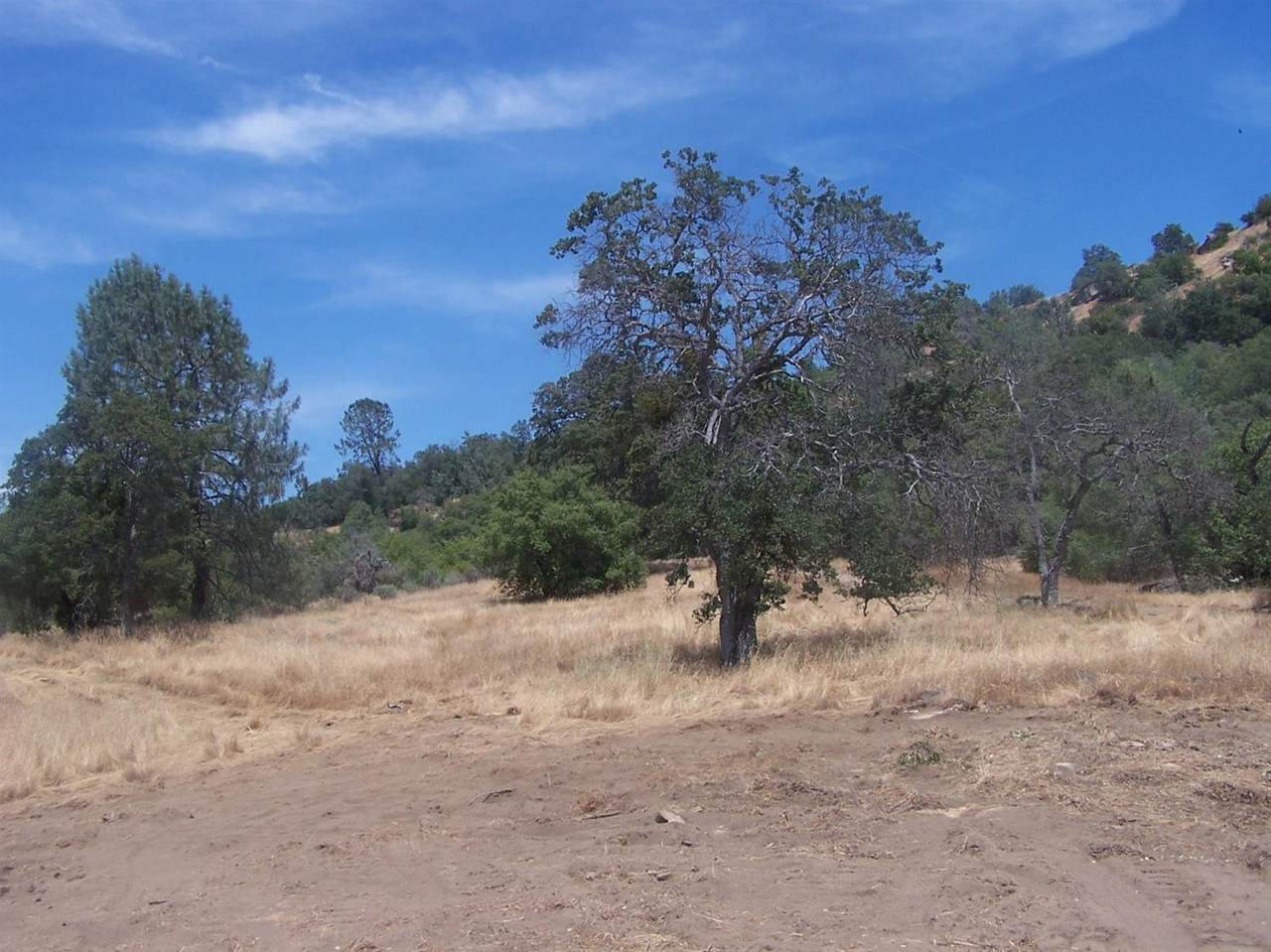 0 Sentinel Drive - Photo 1