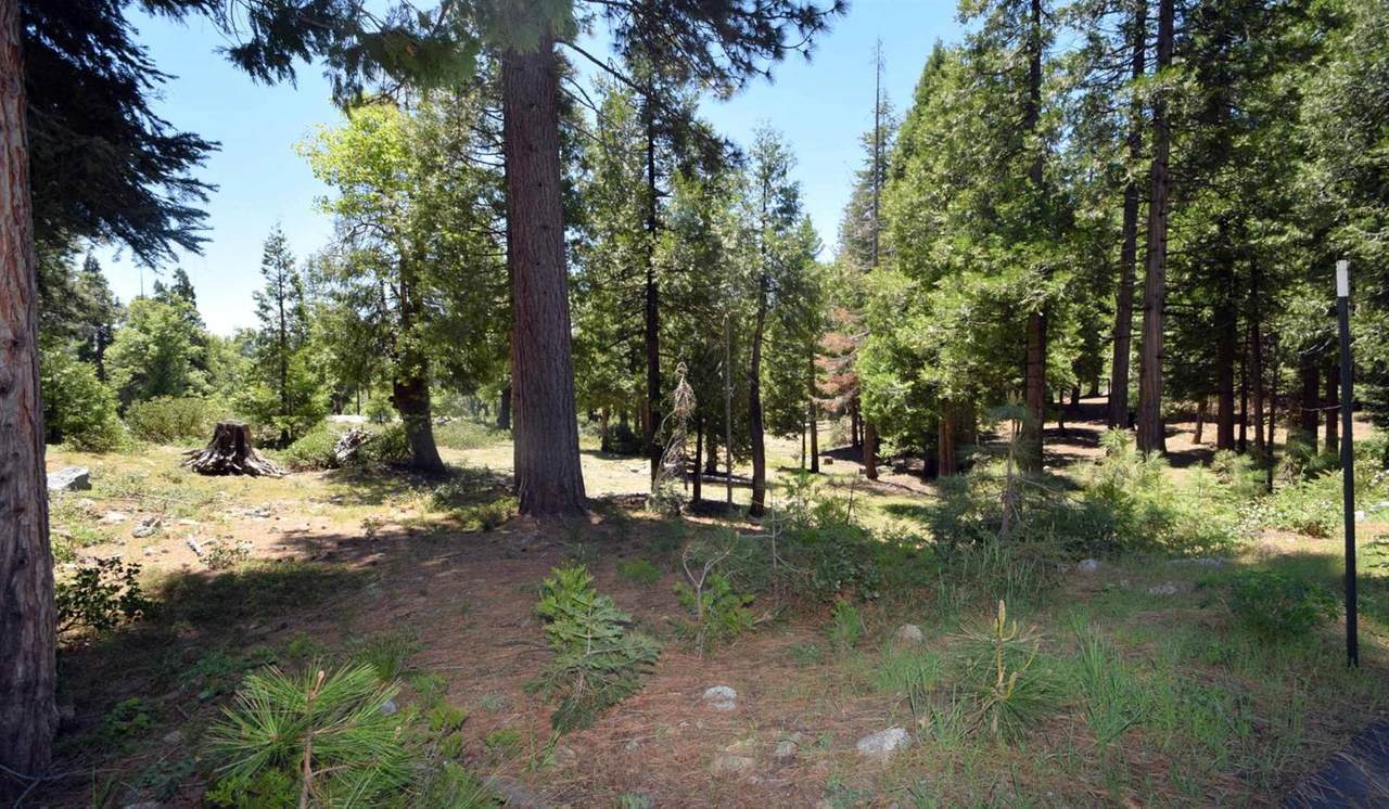 42436 Garnet Lane - Photo 1