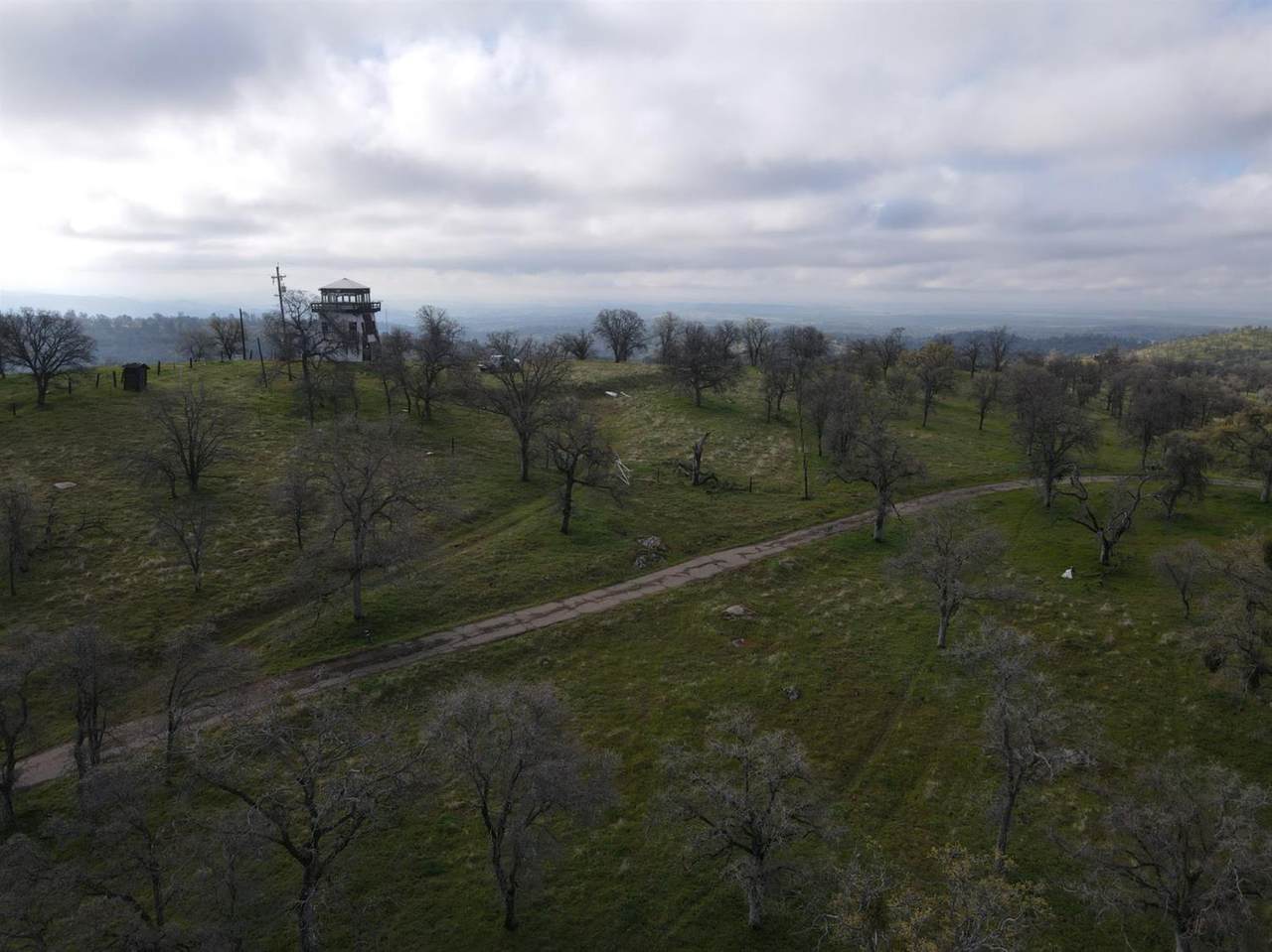25848 Road 207 - Photo 1