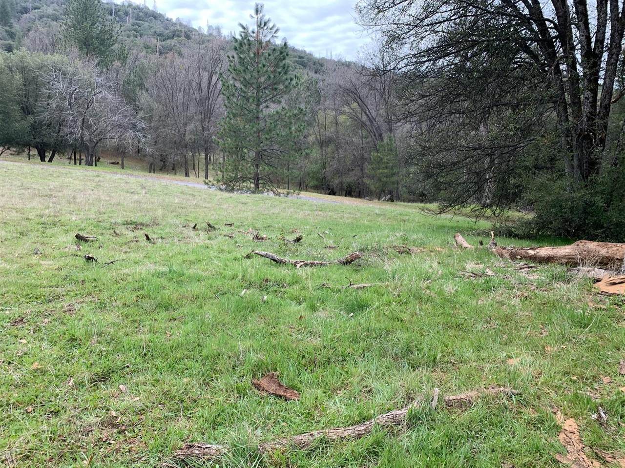 17 Nutter Ranch Rd - Photo 1