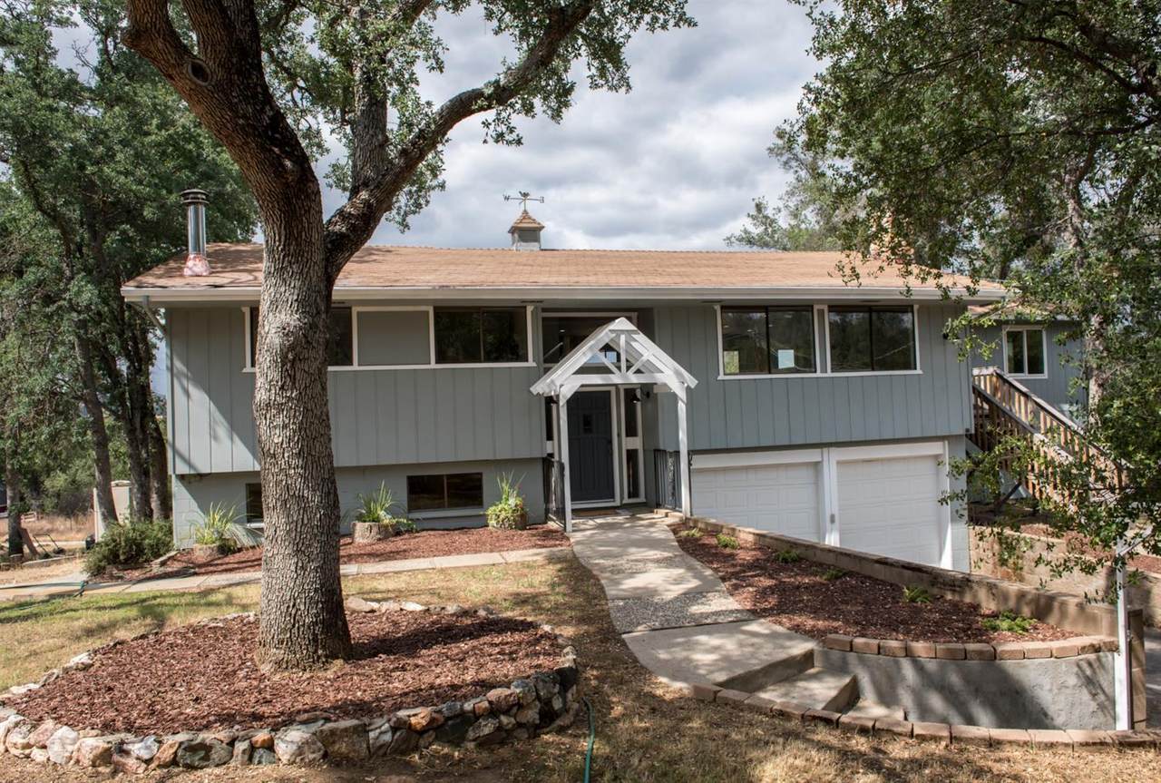 41993 Lilley Mountian Drive - Photo 1