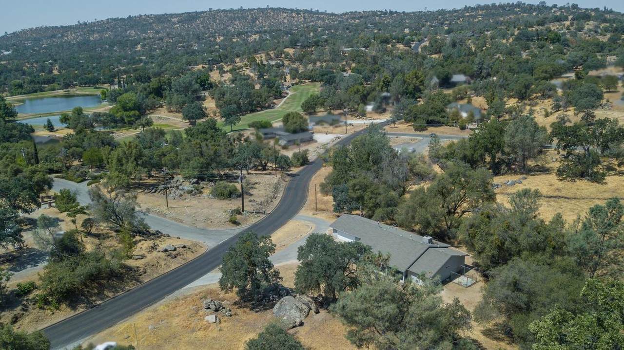 31081 Revis Road - Photo 1