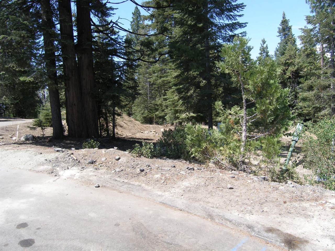 39851 Mountain Heather - Photo 1