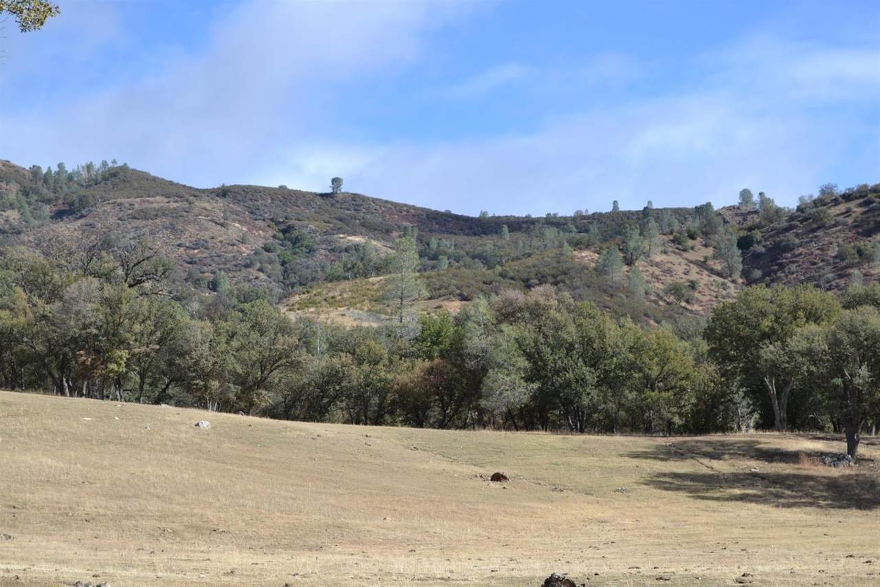 20755 Coalinga Road - Photo 1