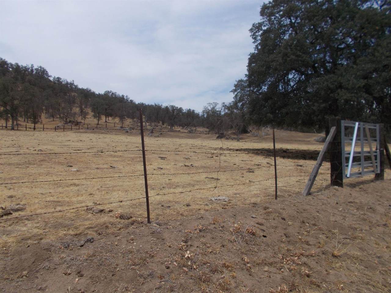 0 Lot 488 Mistletoe Road - Photo 1