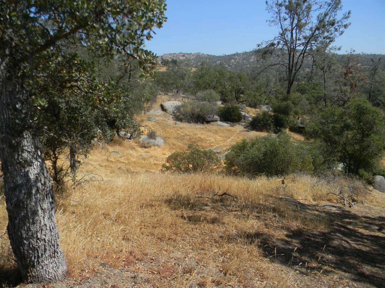 796-Lot # Acorn Court - Photo 1