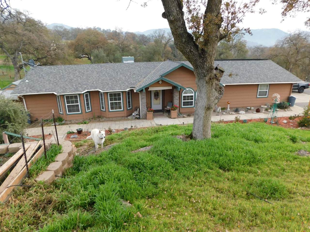 37636 Clearview Lane - Photo 1
