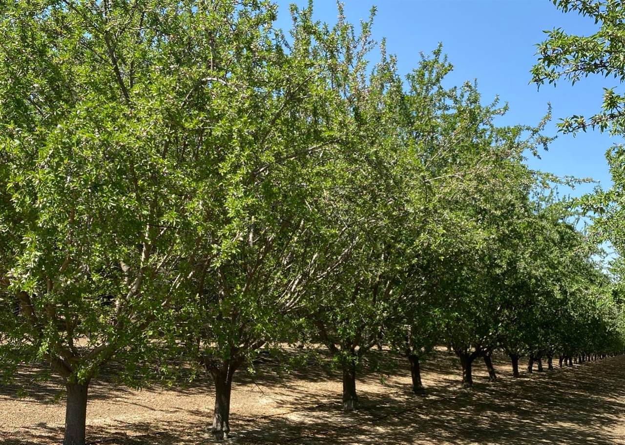 0 Lassen Avenue - Photo 1