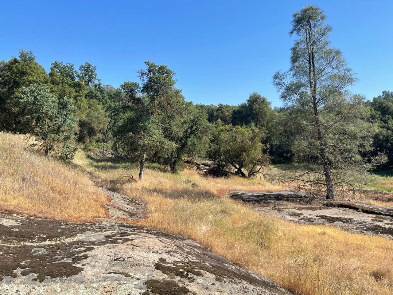 32404 Lodge Road - Photo 1