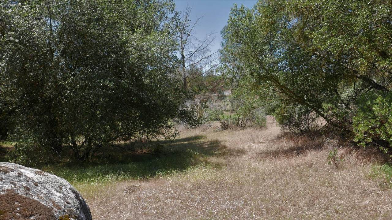 763 Deep Forest Drive - Photo 1