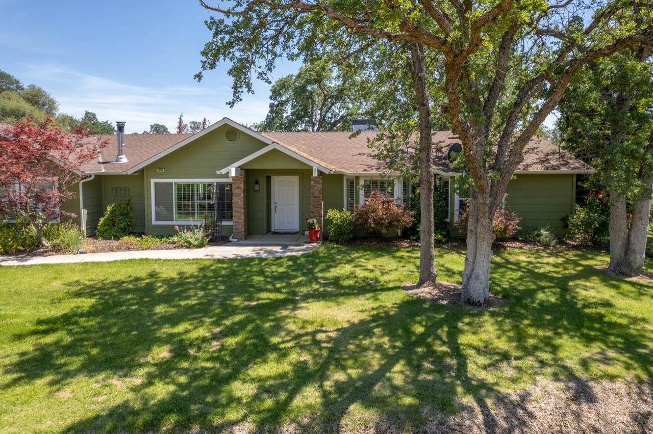 46706 Picayune Creek Rd Road - Photo 1