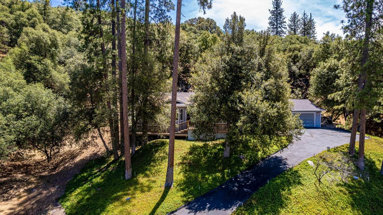39725 Pierce Lake Drive - Photo 1