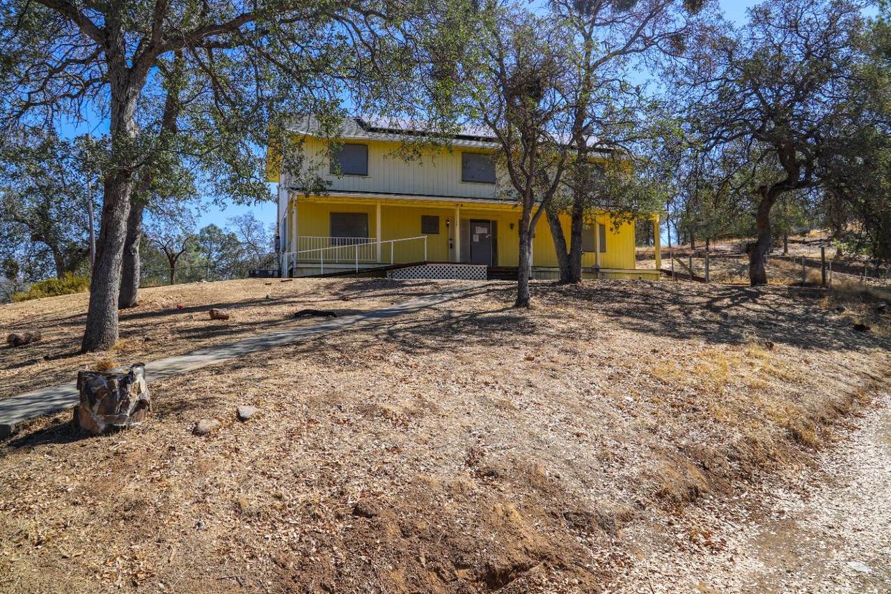 43602 Grammys Lane - Photo 1