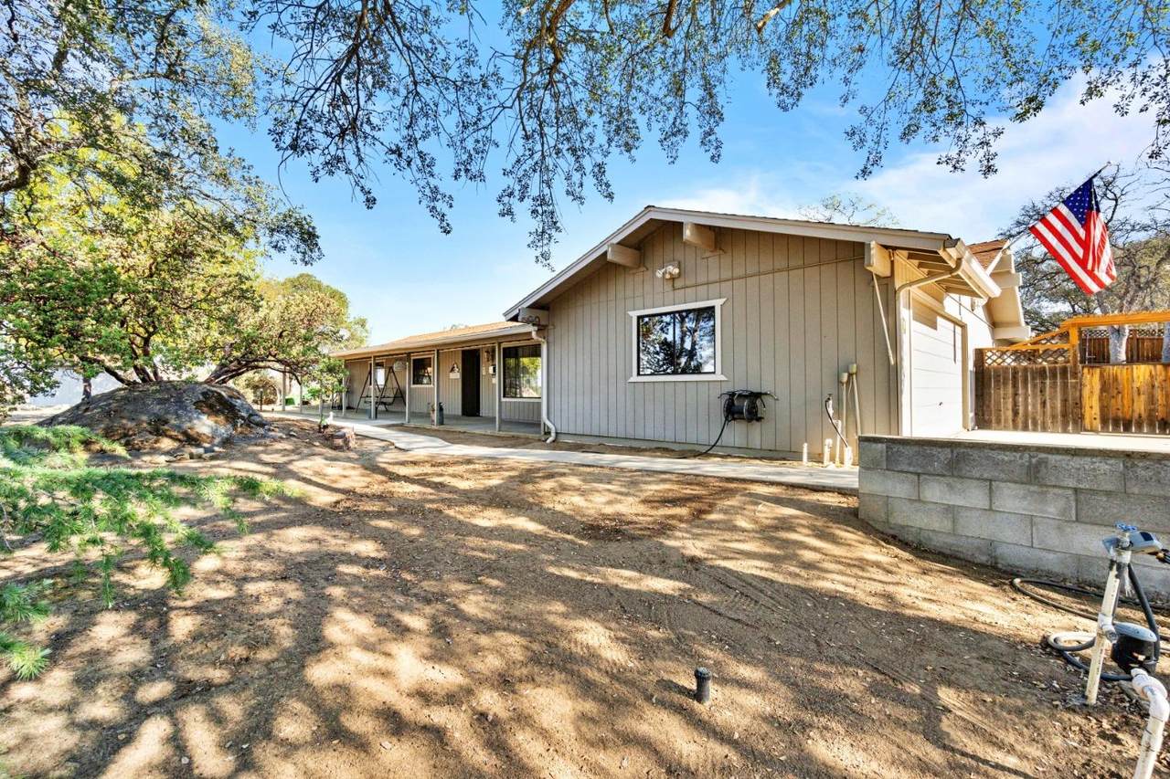 33350 Barn Owl Road - Photo 1