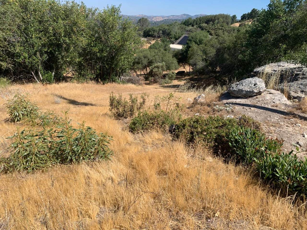 1234 Quartz Mountain - Photo 1