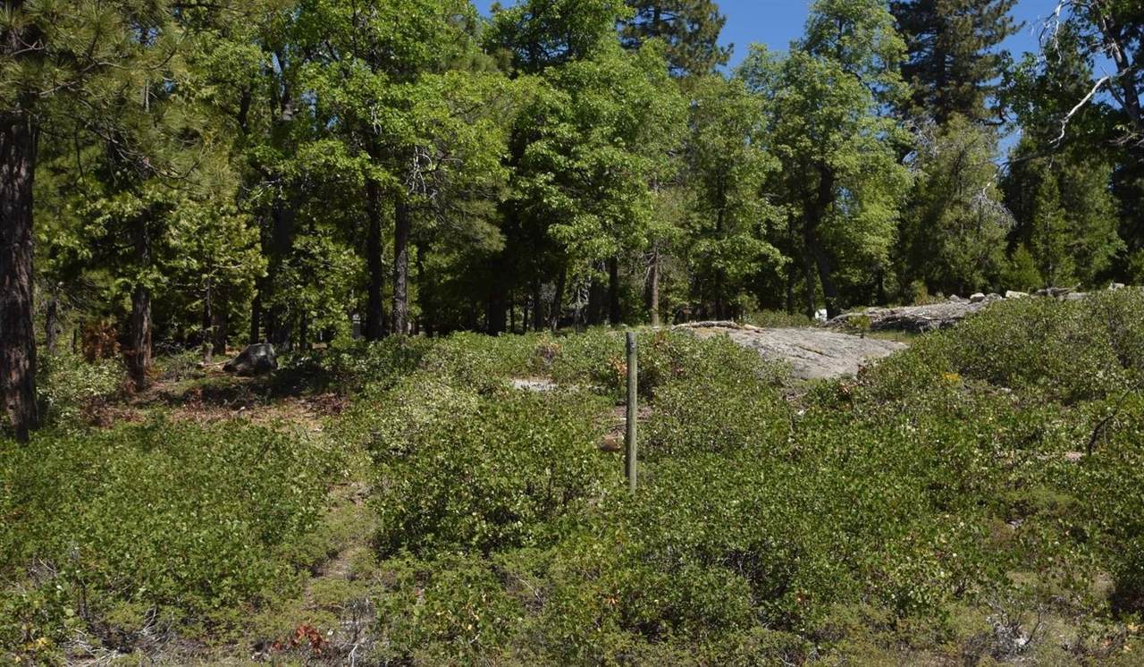 42311 Opal Lane - Photo 1