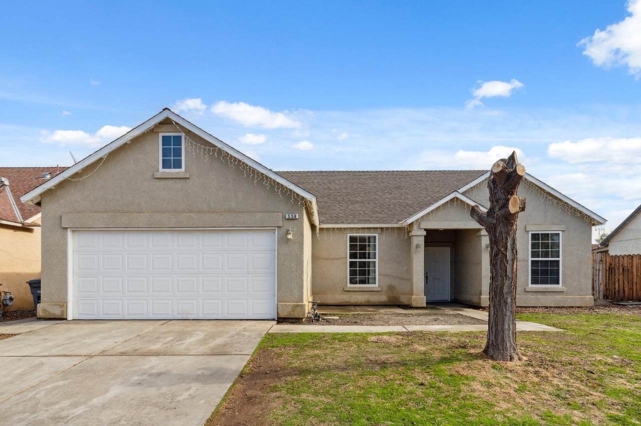 559 Buckeye Springs Street - Photo 1