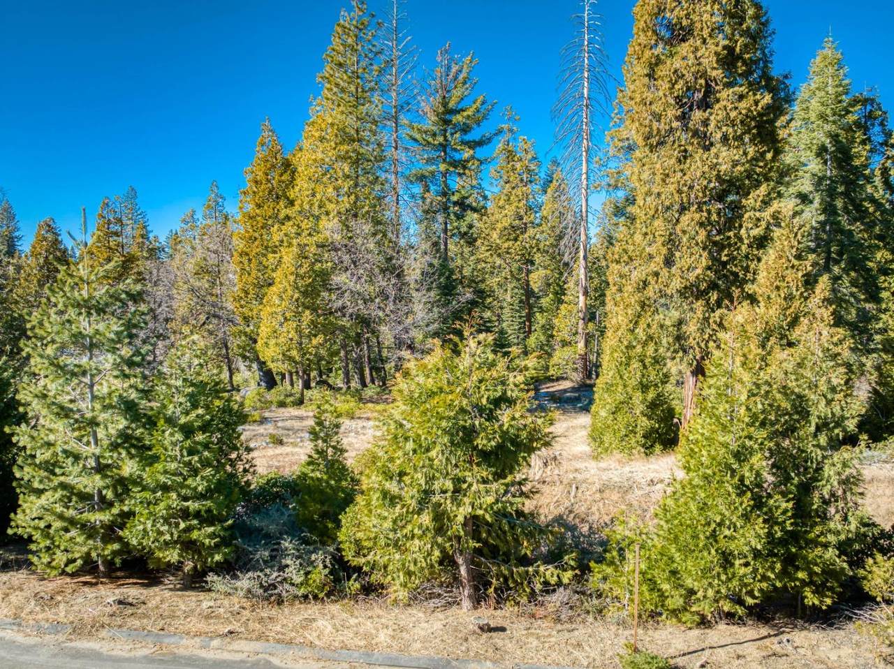 42322 Cook Cabin Lane - Photo 1