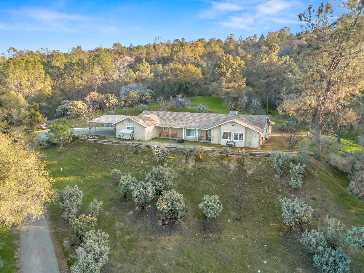 33117 Blueberry Hill Drive - Photo 1