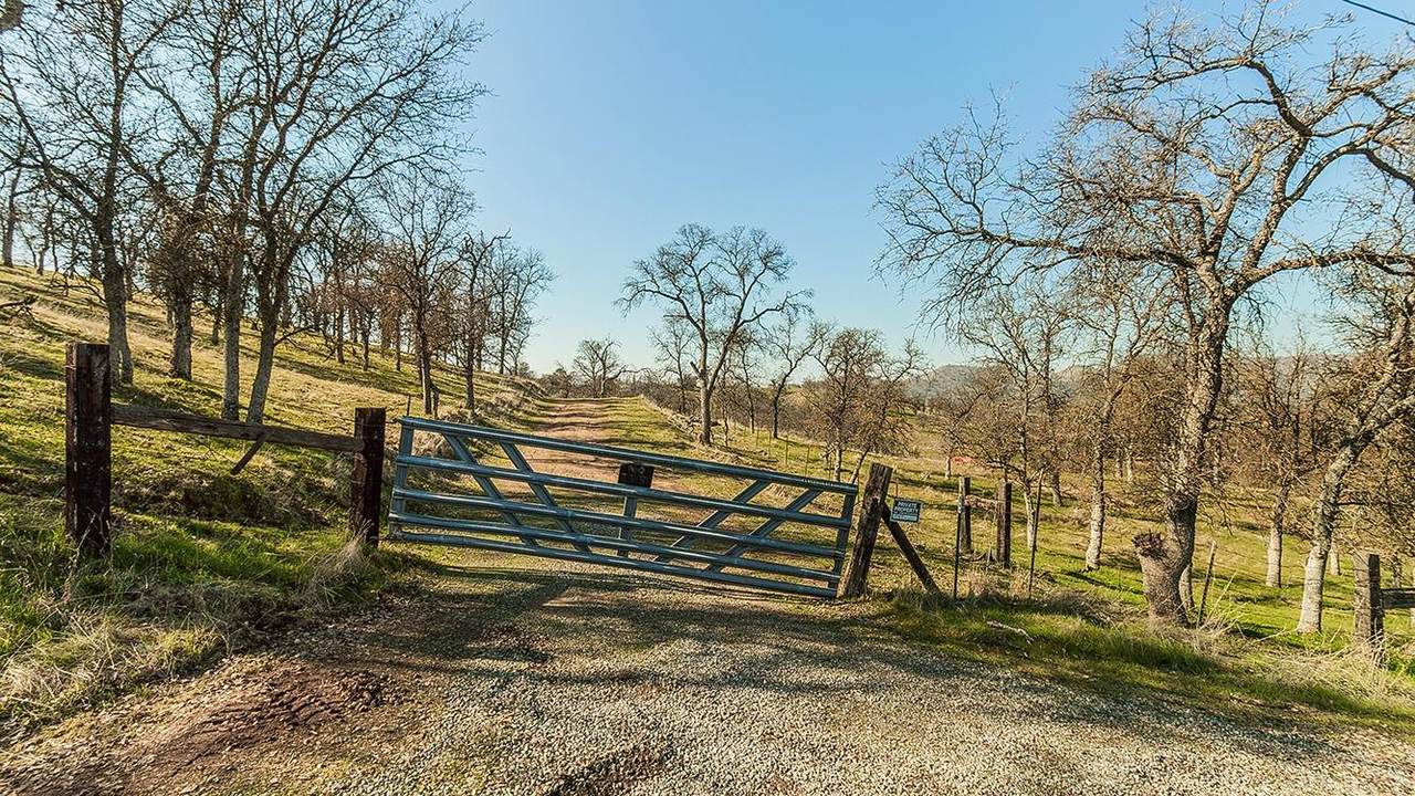11185 Rusty Spur Lane - Photo 1