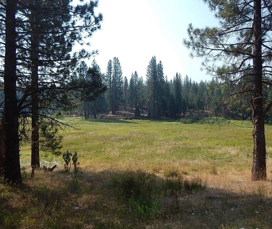 114 Meadow Lane - Photo 1