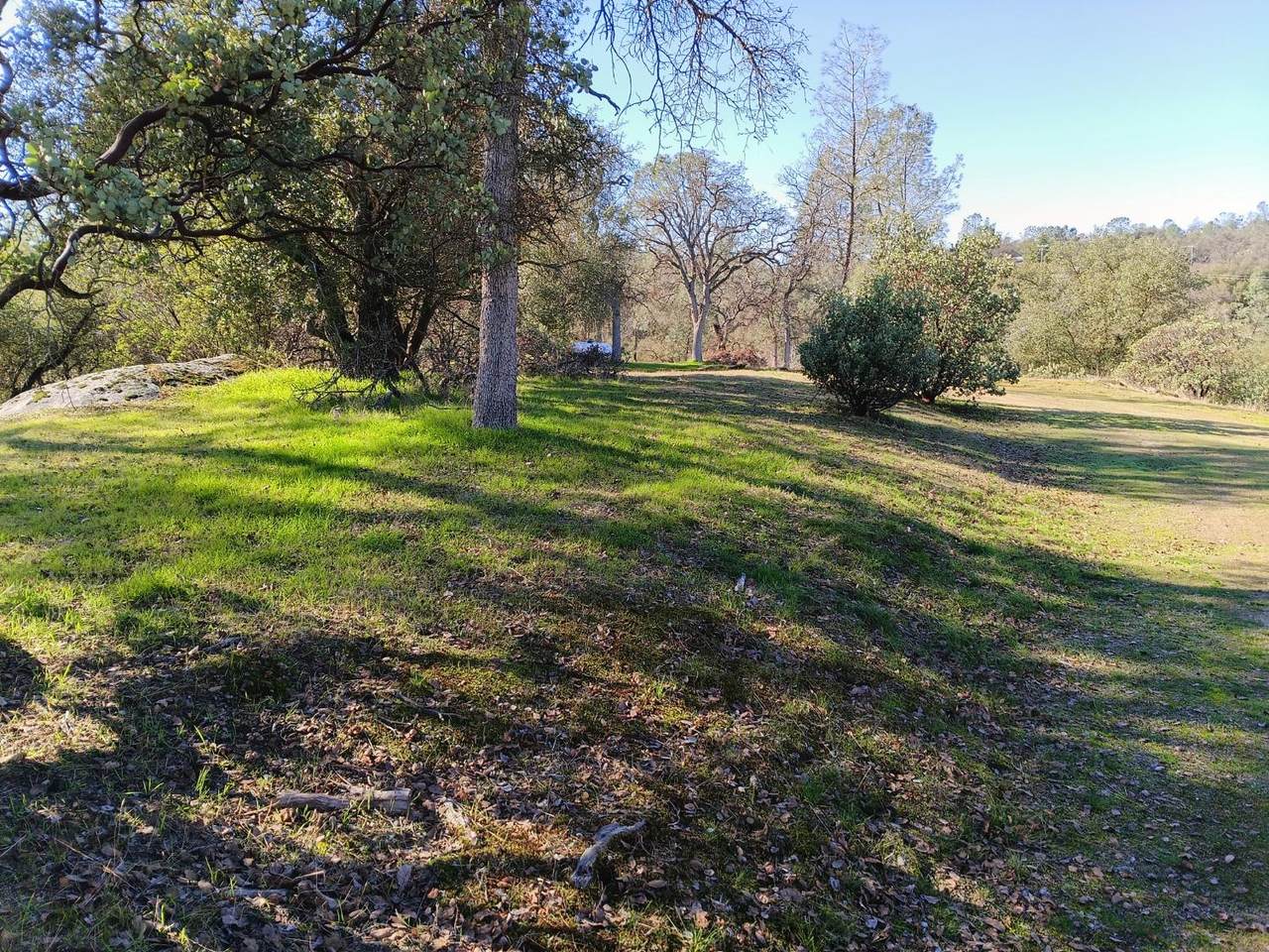 0-Lot 856 Deep Forest Drive - Photo 1