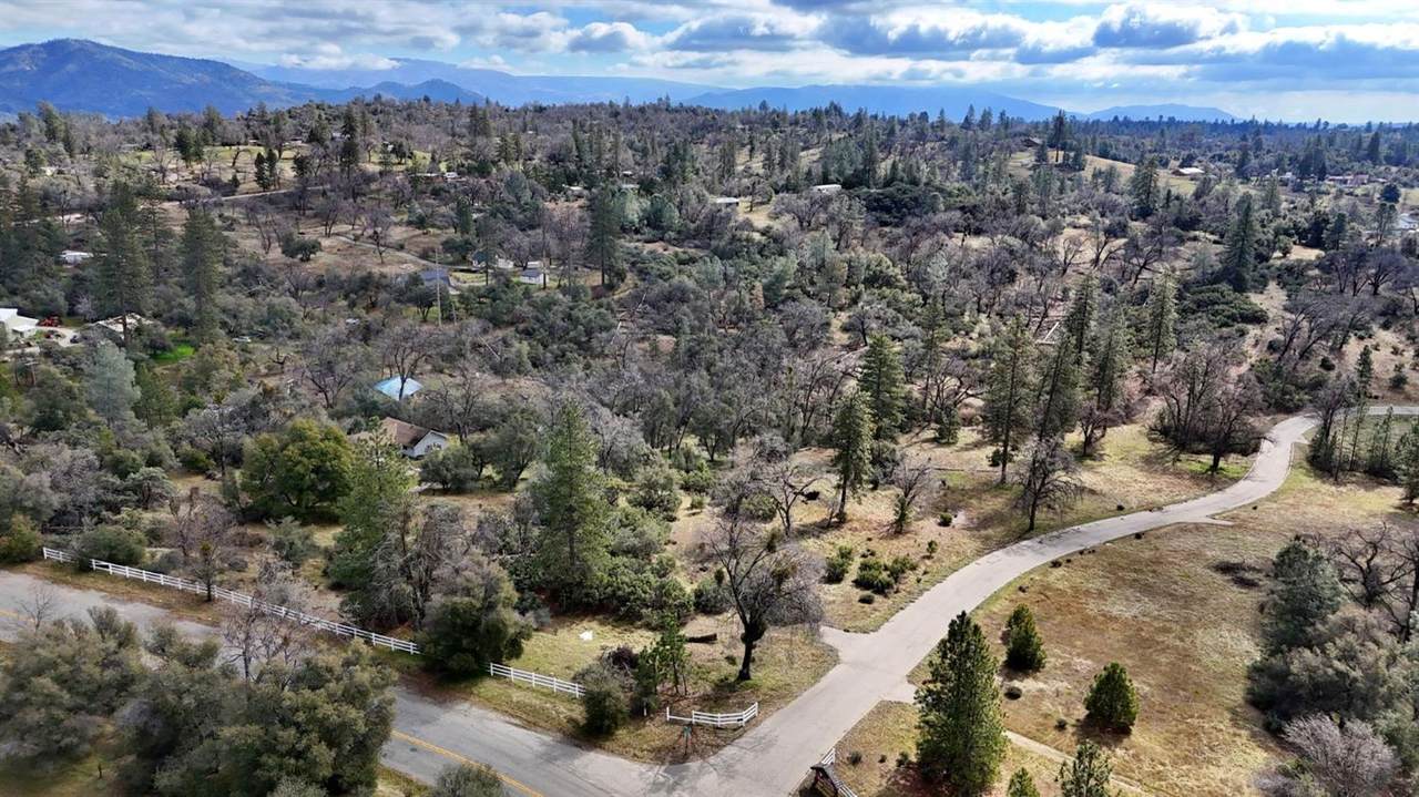 4 Lot 4 Hard Times Ranch Road - Photo 1