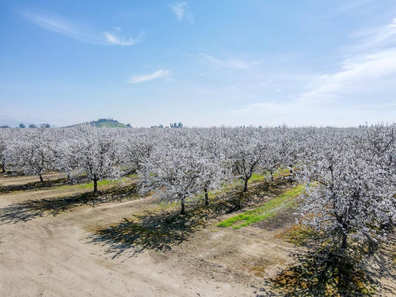 https://bt-photos.global.ssl.fastly.net/fresno/1280_boomver_1_626108-2.jpg