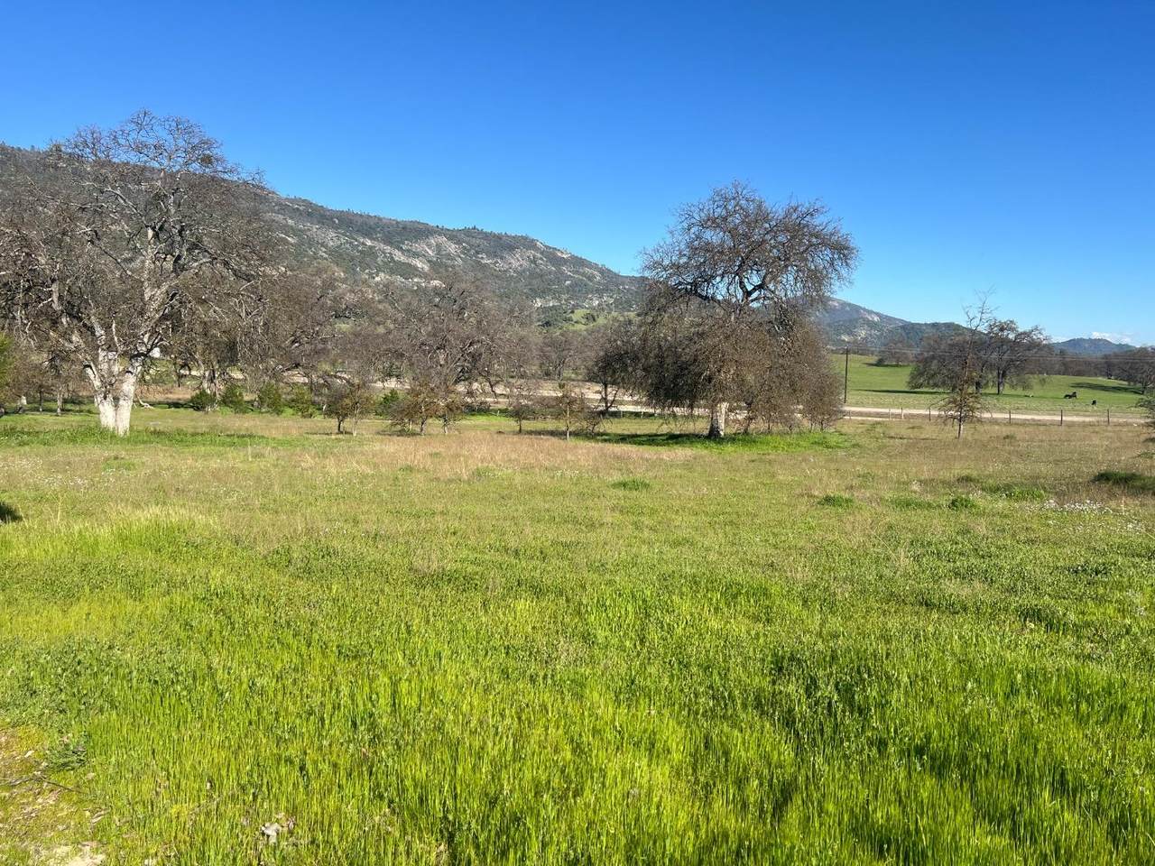 35400 Spanish Oak Road - Photo 1
