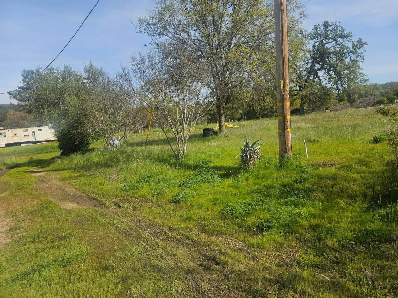 28380 Burrough Valley Road - Photo 1
