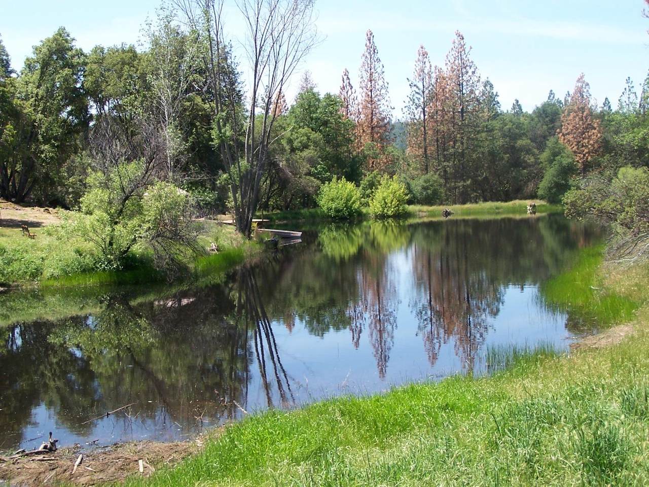 28 Rusty Ln - Photo 1