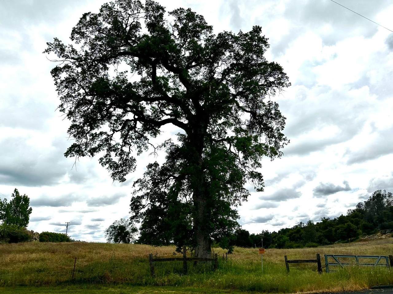 0-00 Savage - Photo 1