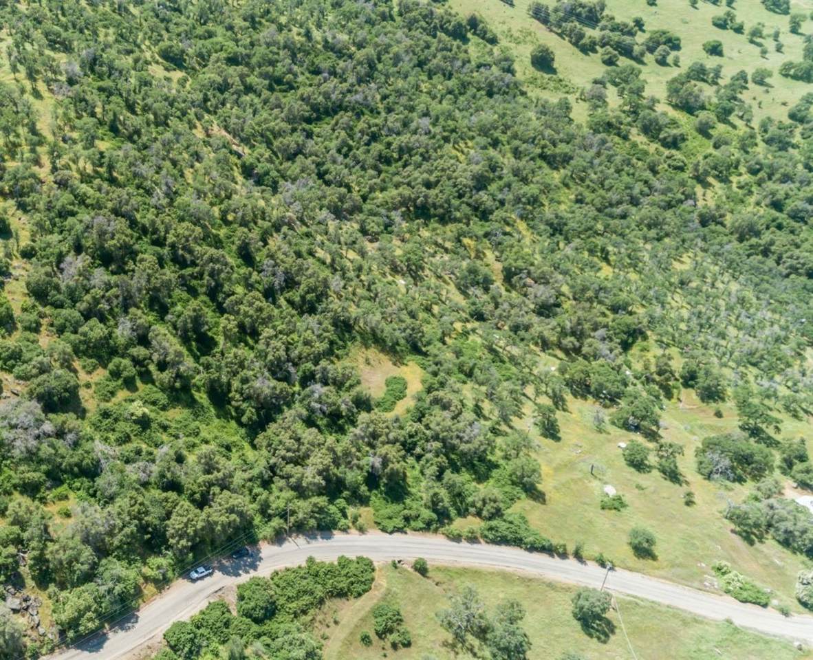 527 Squaw Valley - Photo 1