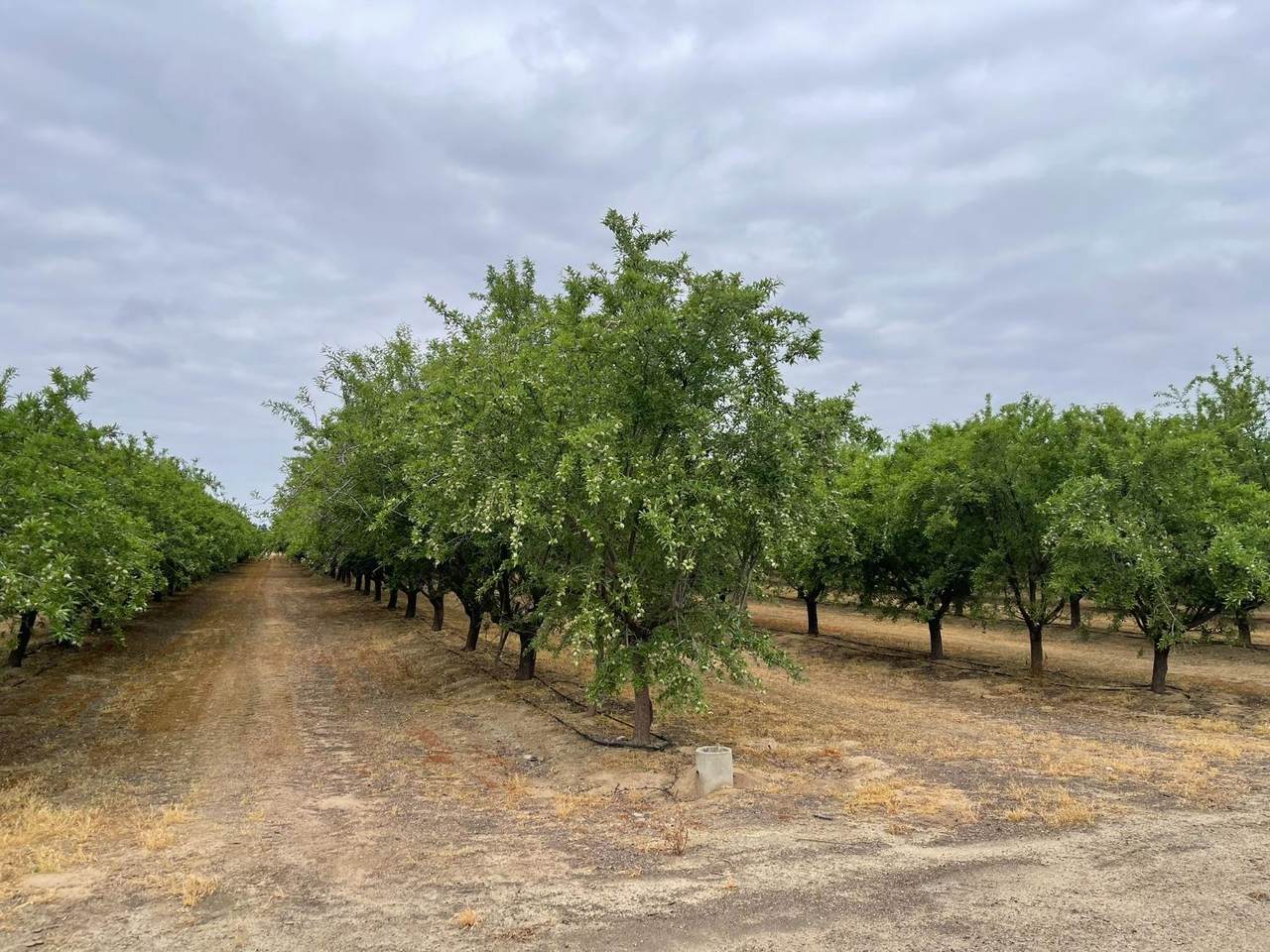 29630 Hwy 145 - Photo 1