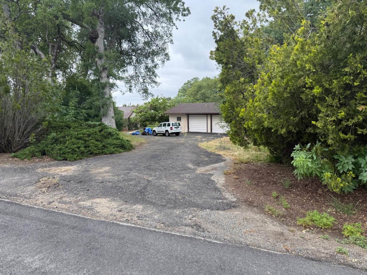 31612 Duke Road - Photo 1