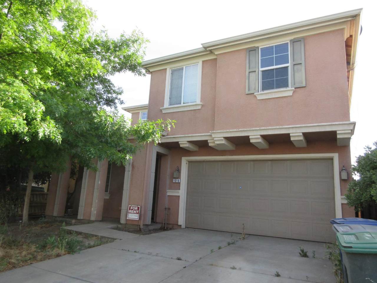 1016 Papaya Street - Photo 1