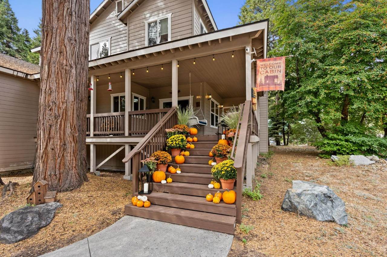 41208 Silver Pine Lane - Photo 1